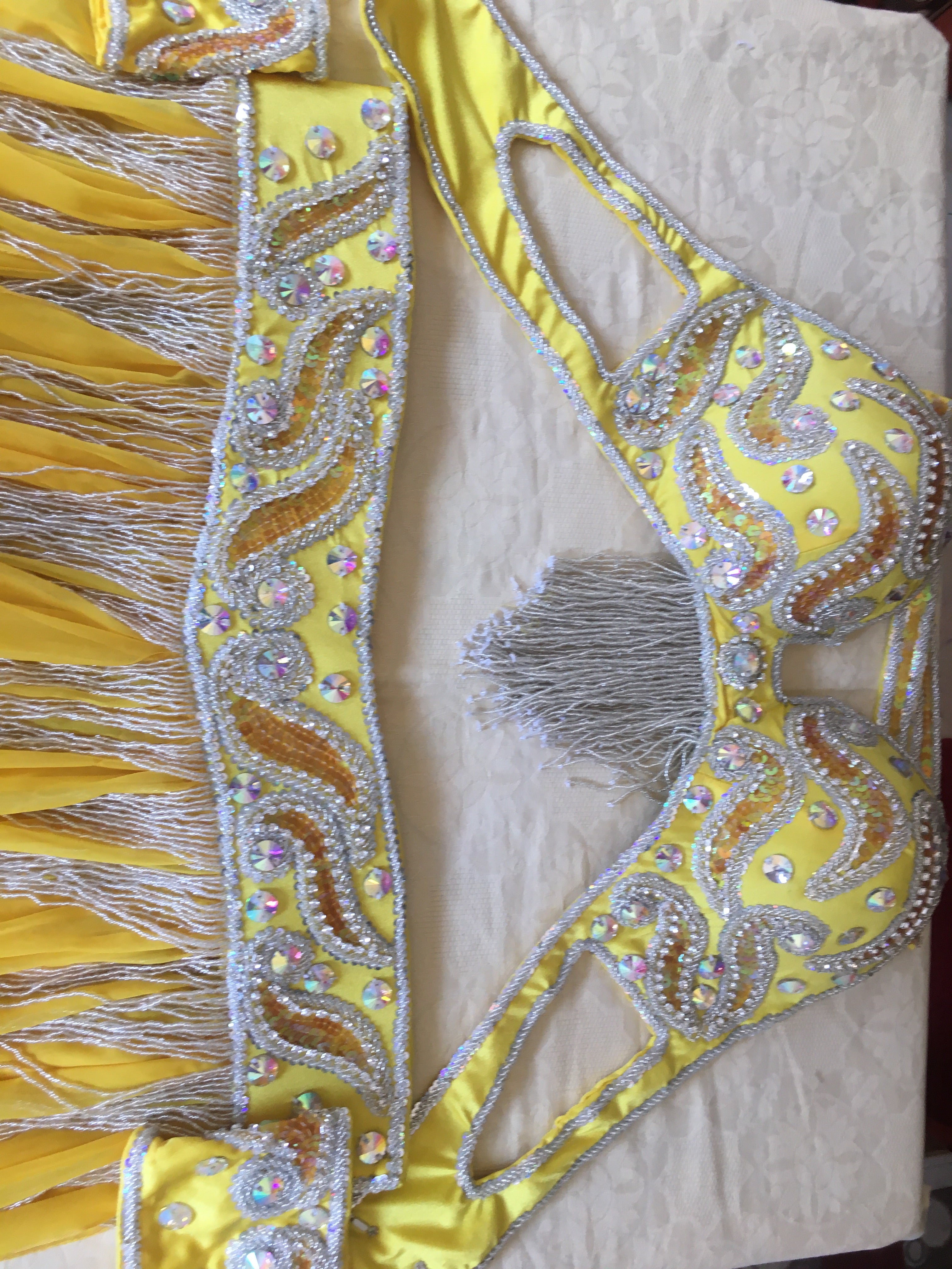 Professional Belly Dance Costume from Egypt / Belly dancer Custom Made Outfit