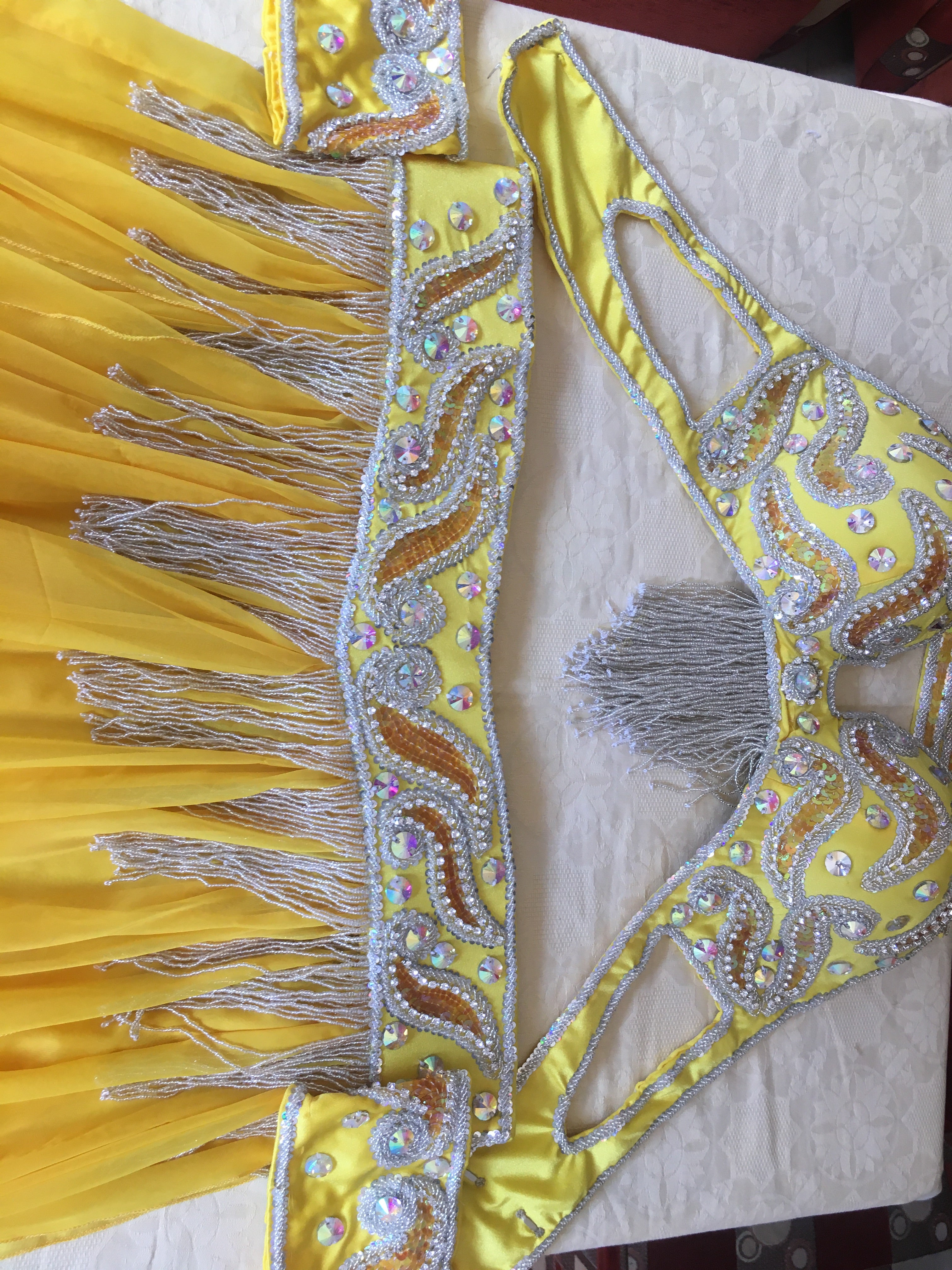 Professional Belly Dance Costume from Egypt / Belly dancer Custom Made Outfit