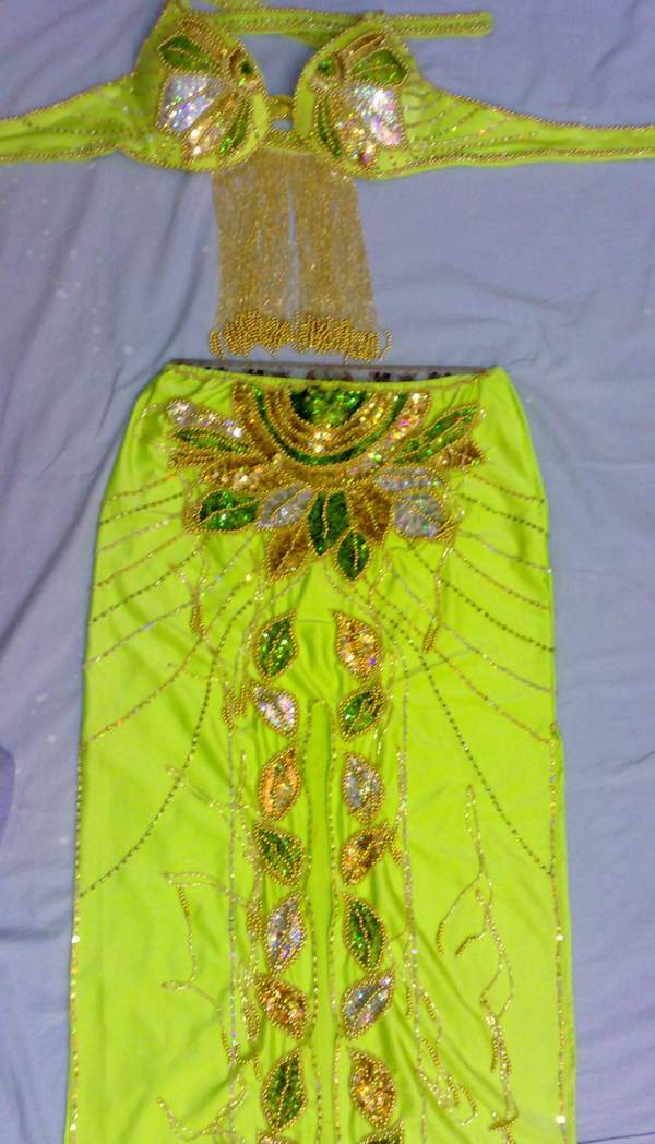 New Egyptian Belly Dance Costume, Custom-Made belly dance Dress, Handmade embroidery oriental outfit, Tribal dance skirt & Bra, Gypsy dance