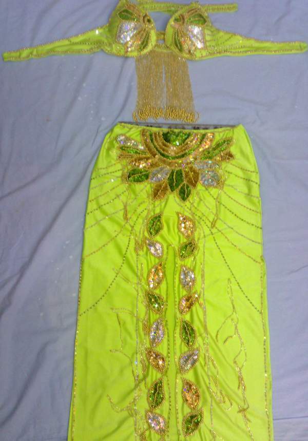 New Egyptian Belly Dance Costume, Custom-Made belly dance Dress, Handmade embroidery oriental outfit, Tribal dance skirt & Bra, Gypsy dance