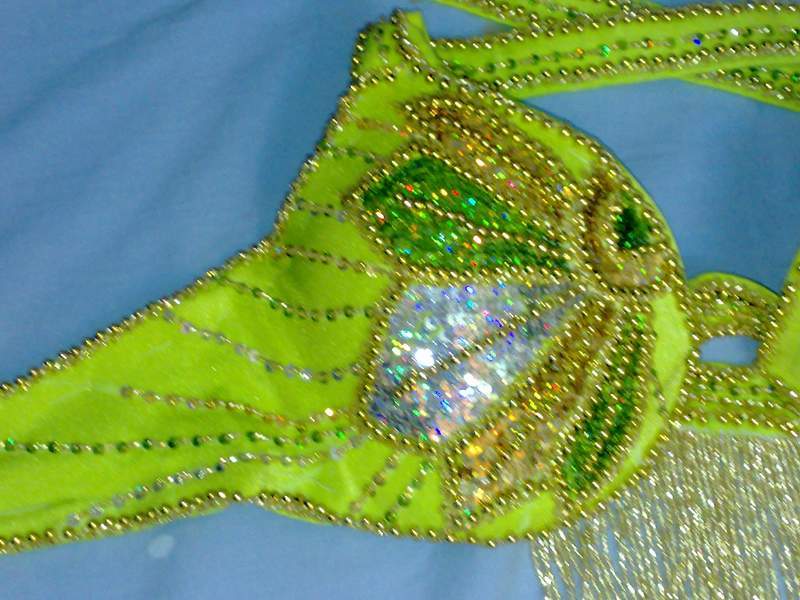 Neues ägyptisches Bauchtanzkostüm, maßgeschneidertes Bauchtanzkleid, orientalisches Outfit mit handgemachter Stickerei, Tribal-Tanzrock und BH, Zigeunertanz