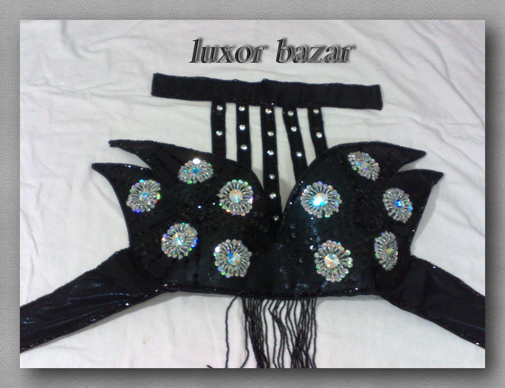 Professional belly dance costume set, Oriental dance ensemble, dancing set includes to, skirt and belt, handmade beaded and sequined.