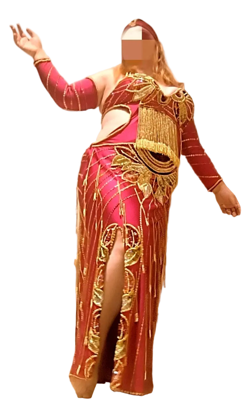 Stunning wine-red belly dance costume professional made to order belly dancer costume handmade colourful sequined belly dance outfit