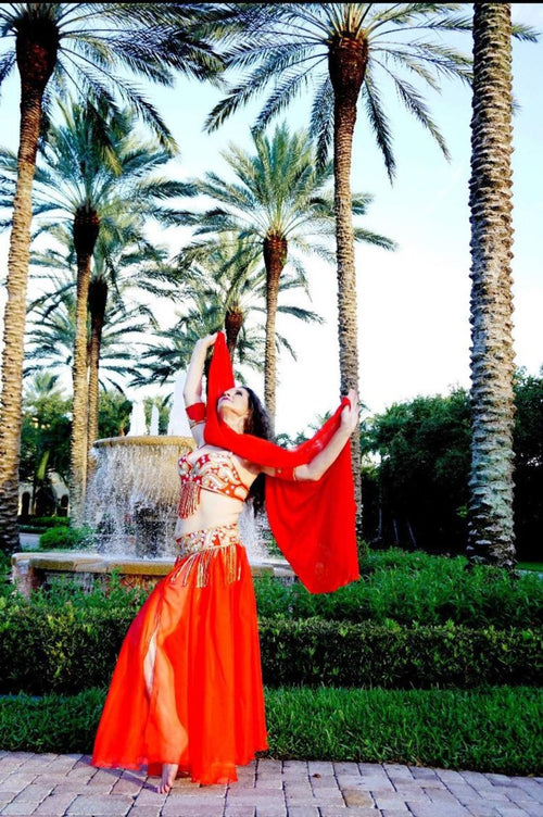 Custom Handmade Belly Dance Costume from Egypt – Chiffon Skirt Set