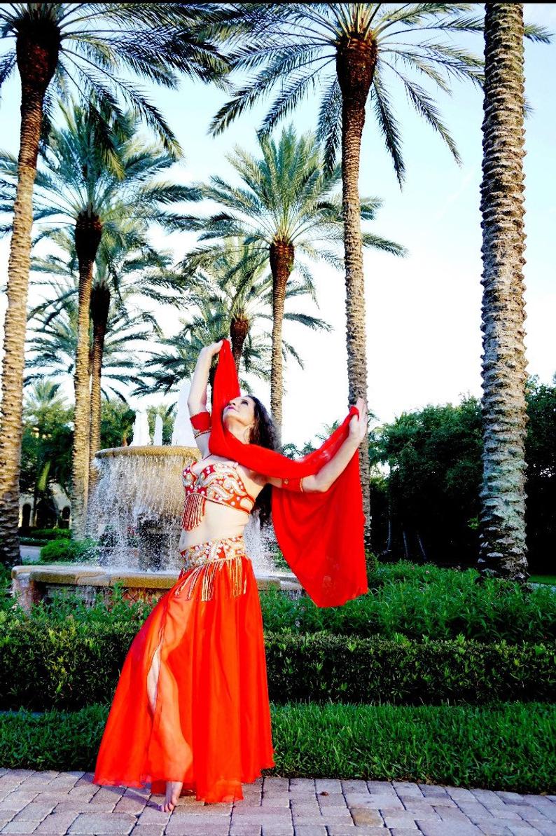Professional Belly Dance Costume From Egypt BELLYDANCE Custom Made Any Colour, New Handmade Embroidered Outfit, Gypsy oriental dance costume