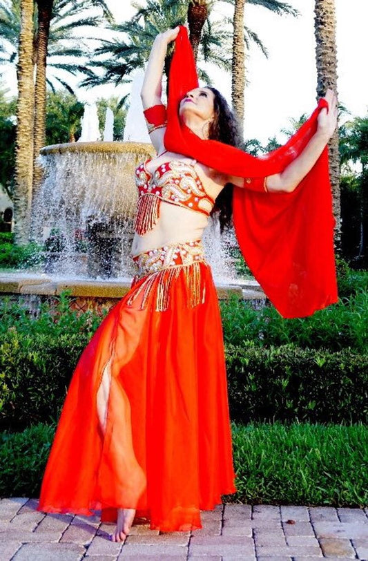 Professional Belly Dance Costume From Egypt BELLYDANCE Custom Made Any Colour, New Handmade Embroidered Outfit, Gypsy oriental dance costume