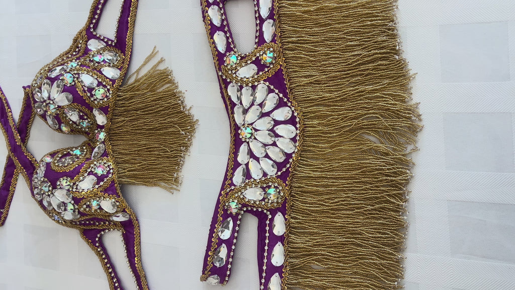 Elegant Purple Belly dance belt and bra set- Made to order Dancing costume