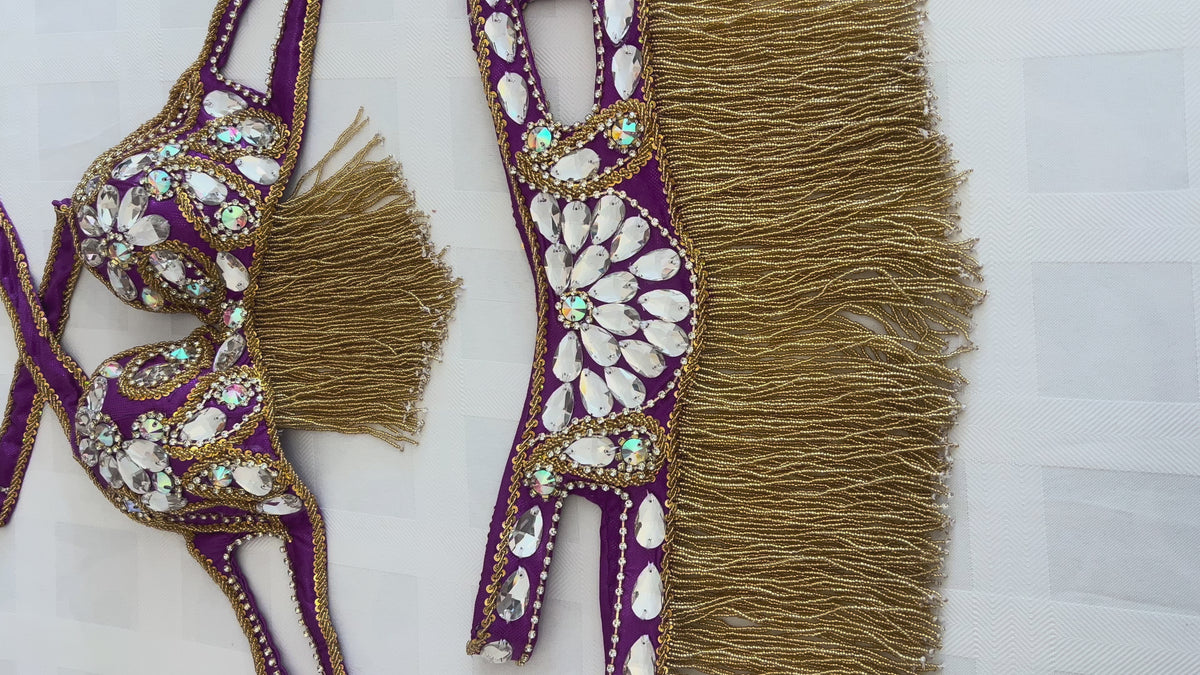 Elegant Purple Belly dance belt and bra set- Made to order Dancing costume
