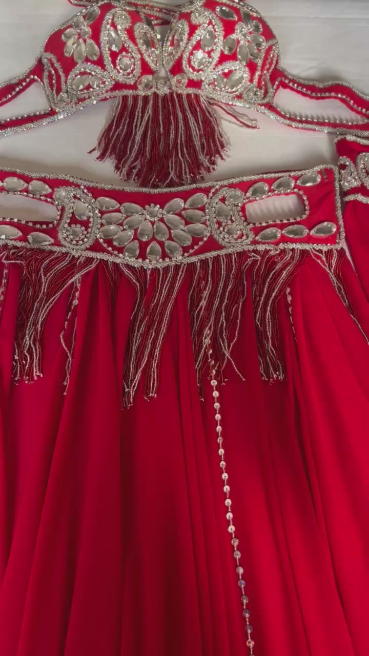 Professional Belly Dance Costume From Egypt BELLYDANCE Custom-made Any Colour New