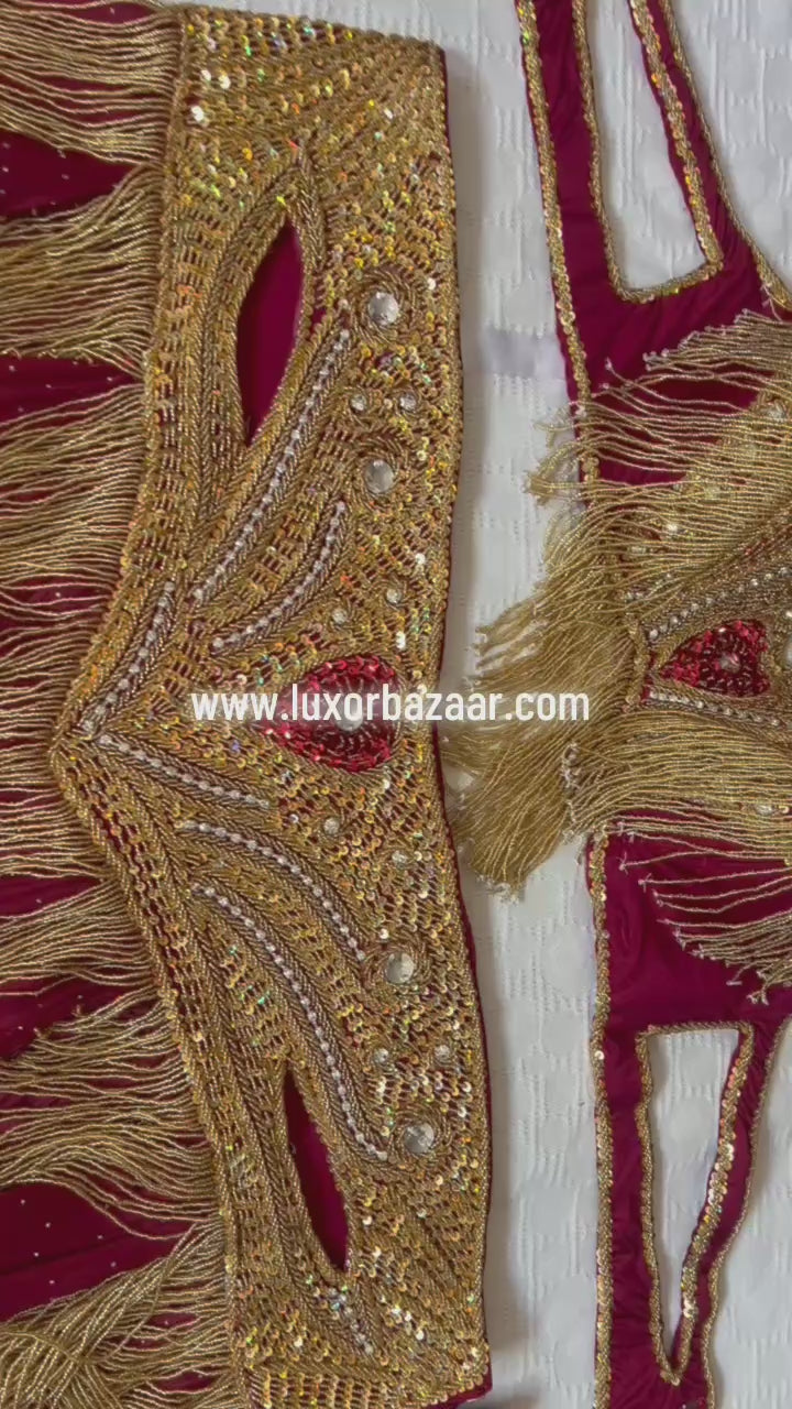 Elegant Wine-Red Belly Dance Costume – Lycra & Chiffon Outfit with Golden Beadwork & Rhinestones