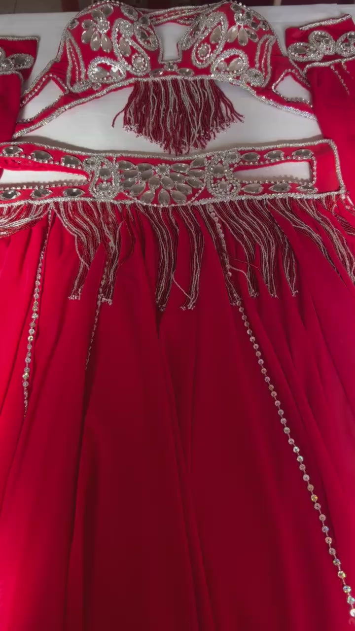 Professional Sexy red Belly Dance Costume from Egypt, Belly dancing Custom-made outfit, High quality ensemble.