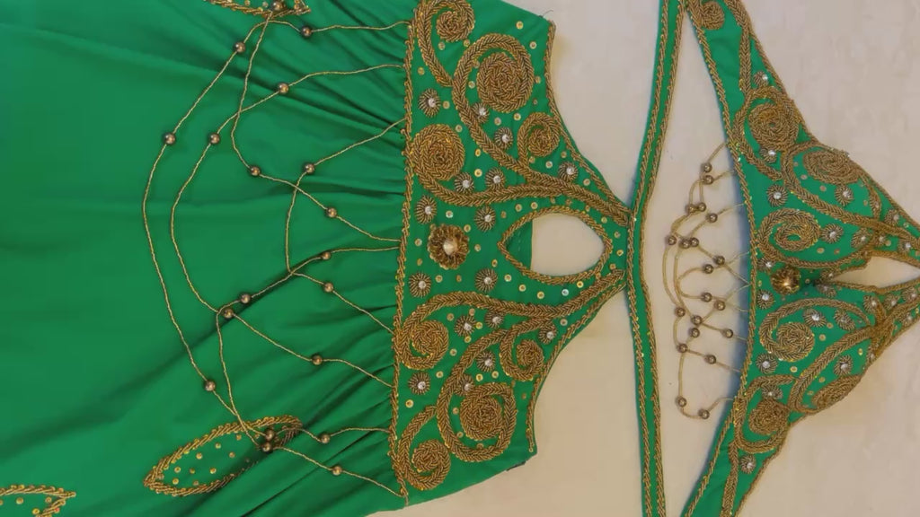 Professional belly dance costume, Egyptian handmade belly dance set/ belly dance skirt and top, Unique design beaded dancing ensemble.