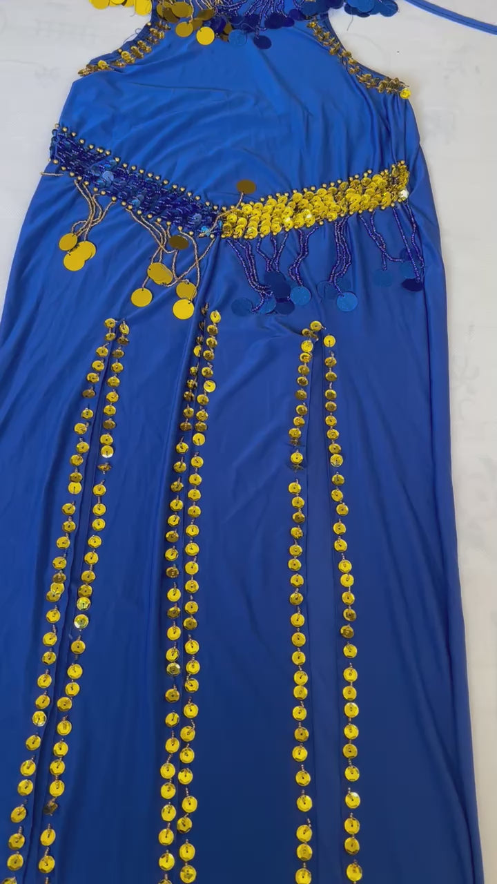 Egyptian Sexy belly dance costume, handmade Royal blue stitched belly dance dress