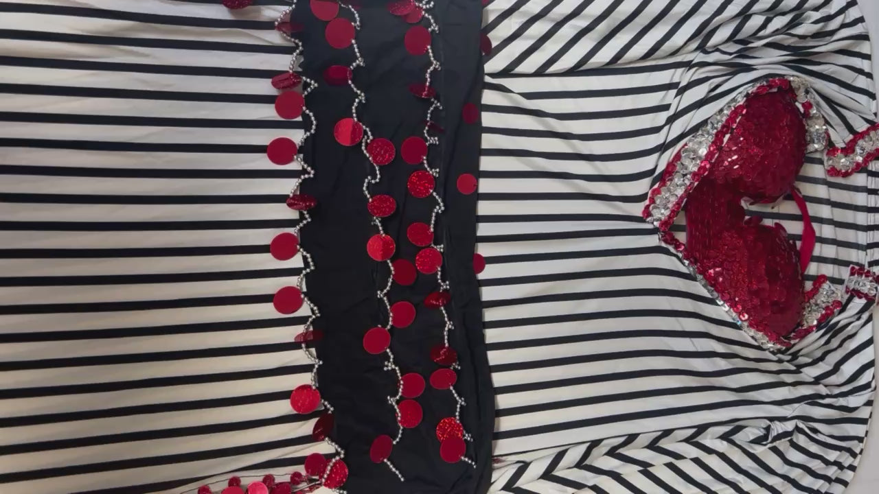 Egyptian Oriental Belly Dance Dress, with bra & hip scarf included, Belly dancing outfit