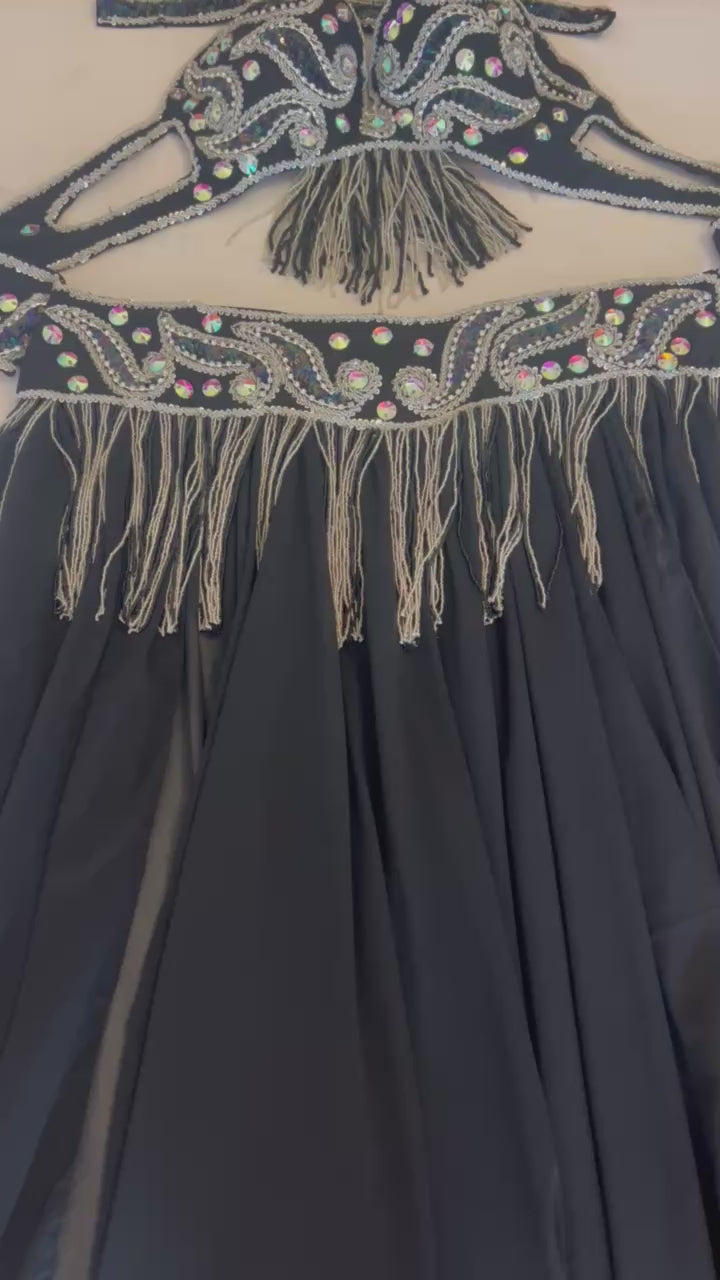 Professional belly dance costume/ Luxurious handmade belly dancer outfit