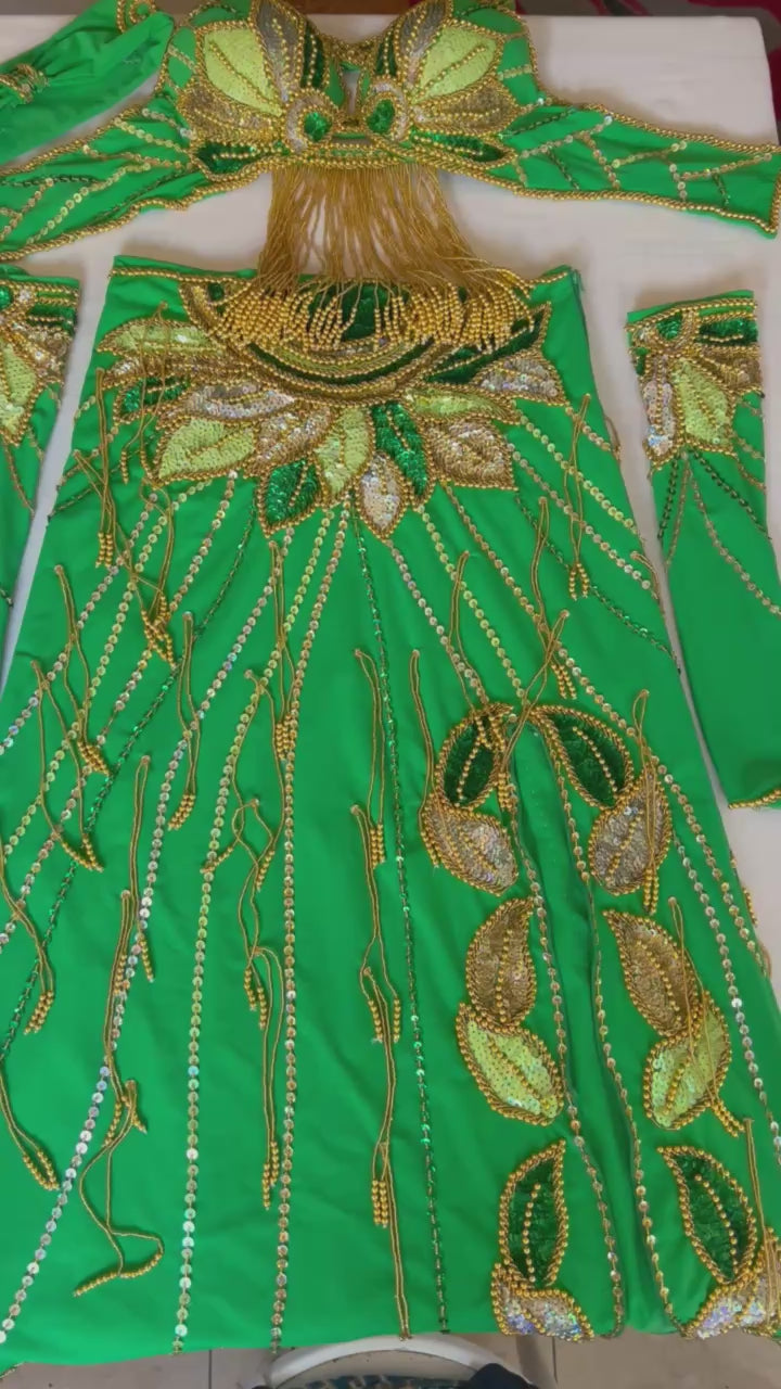 Video showing a vibrant belly dance costume, handmade and adorned with colorful sequins and golden beads, featuring several fringes hanging elegantly.