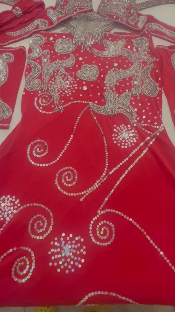 New Egyptian Belly Dance Costume, Custom-Made belly dance Dress, Handmade embroidery oriental outfit, Tribal dance skirt & Bra, Gypsy dance