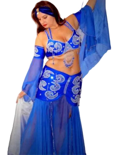 Egyptian professional belly dance costume, Custom-made Belly dance Dress, sexy Gypsy oriental dance, handmade stitched oriental dance outfit