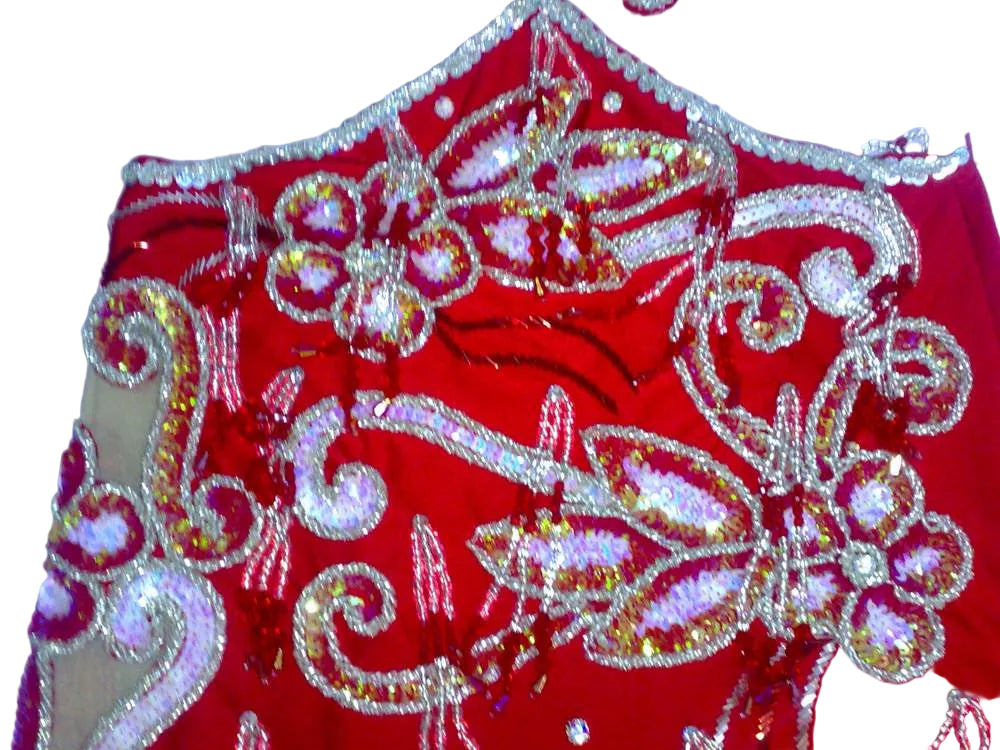 Neues ägyptisches Bauchtanzkostüm, maßgeschneidertes Bauchtanzkleid, handgemachtes orientalisches Stickerei-Outfit, Tribal-Tanzrock und BH, Gypsy-Tanz