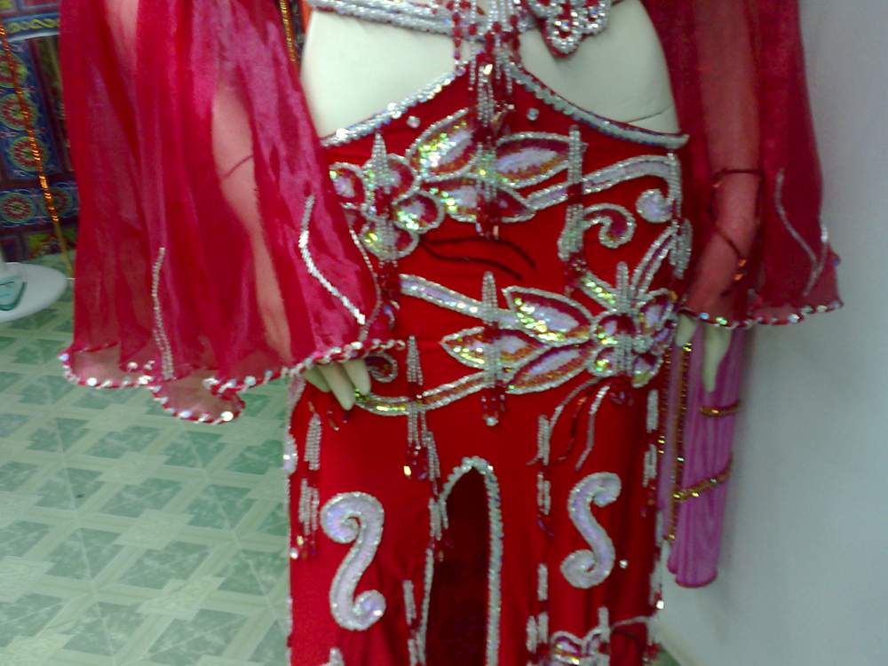 New Egyptian Belly Dance Costume Custom-Made belly dance Dress, Handmade embroidery oriental outfit, Tribal dance skirt & Bra, Gypsy dance